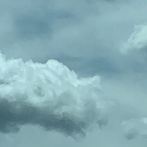 Meet your Posher, Ella